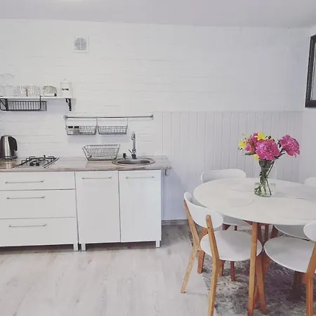 Apartament Olto Apartment